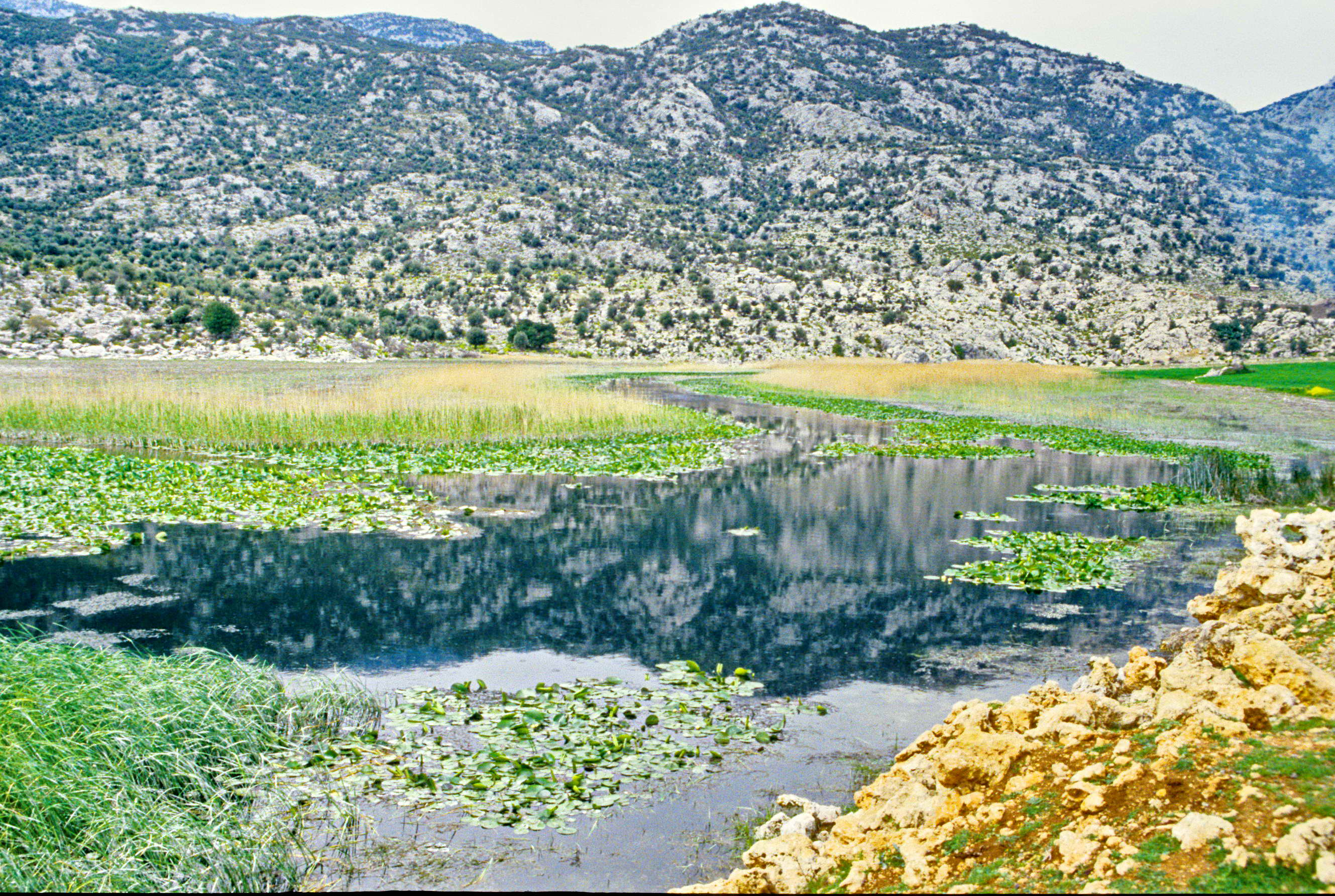 Kırkgöz Gölü