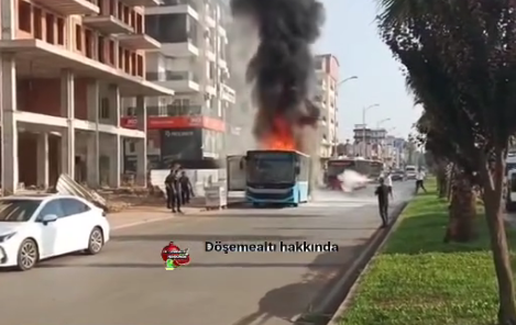 Belediye Otobüsü